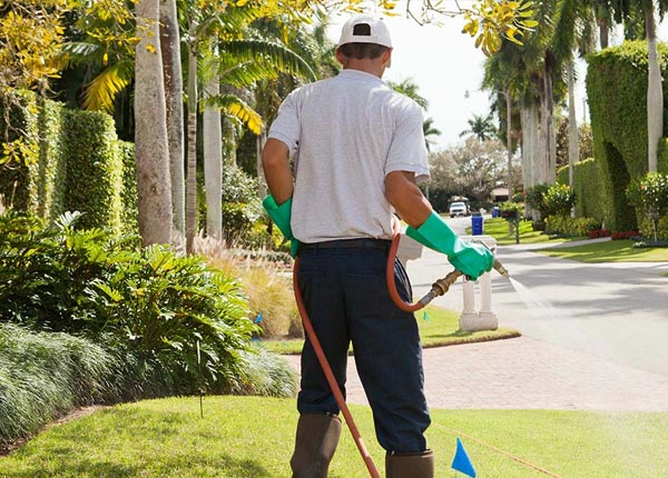 About Andale KS Pest Control Pros